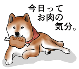 Japanese Shiba inu stickers!4 sticker #10970547