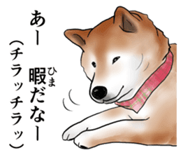 Japanese Shiba inu stickers!4 sticker #10970550