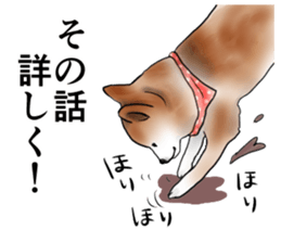 Japanese Shiba inu stickers!4 sticker #10970551