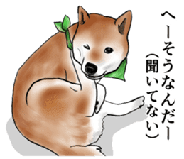 Japanese Shiba inu stickers!4 sticker #10970552