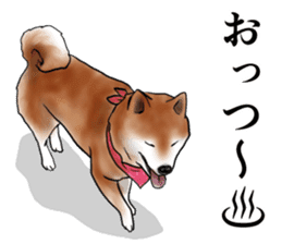 Japanese Shiba inu stickers!4 sticker #10970554