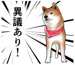 Japanese Shiba inu stickers!4 sticker #10970558
