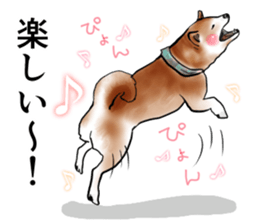 Japanese Shiba inu stickers!4 sticker #10970559