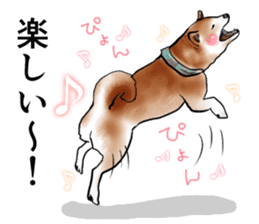 Japanese Shiba inu stickers!4 sticker #10970559