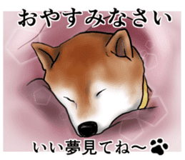 Japanese Shiba inu stickers!4 sticker #10970567