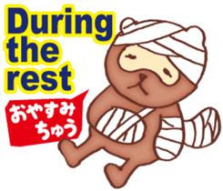 It raccoon dog kun Taeyang sticker #10971570