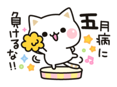 Cat to concern(positive ver.) sticker #10972048