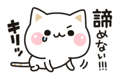 Cat to concern(positive ver.) sticker #10972065