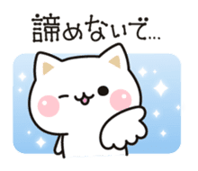Cat to concern(positive ver.) sticker #10972066