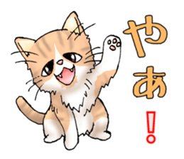 Exotic every day sticker #10972929