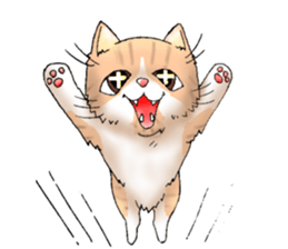 Exotic every day sticker #10972933