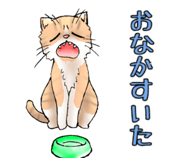 Exotic every day sticker #10972938