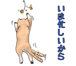 Exotic every day sticker #10972941