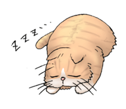 Exotic every day sticker #10972949