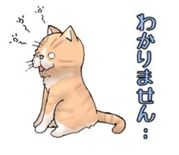 Exotic every day sticker #10972952