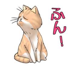 Exotic every day sticker #10972954