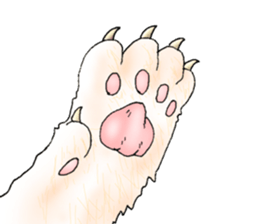 Exotic every day sticker #10972966