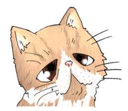 Exotic every day sticker #10972967