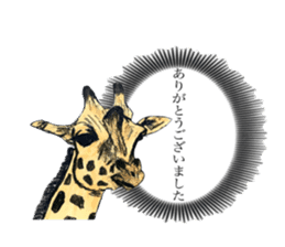 Giraffe's dally sticker #10973375