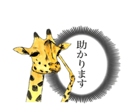 Giraffe's dally sticker #10973381