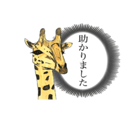 Giraffe's dally sticker #10973382