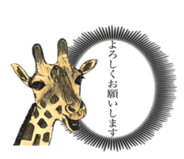 Giraffe's dally sticker #10973384