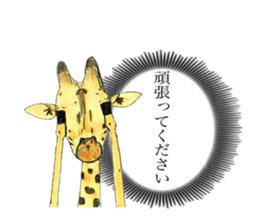 Giraffe's dally sticker #10973385