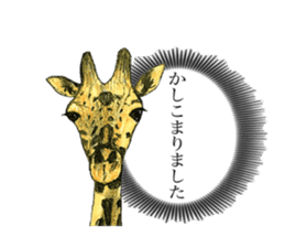 Giraffe's dally sticker #10973389
