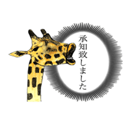 Giraffe's dally sticker #10973390