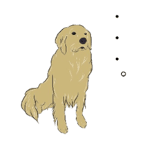 Old man of the Golden Retriever. sticker #10973453