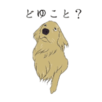 Old man of the Golden Retriever. sticker #10973457