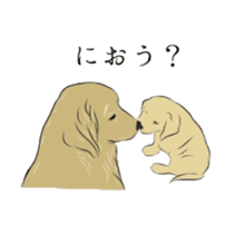 Old man of the Golden Retriever. sticker #10973458