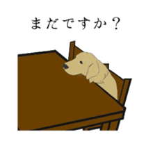 Old man of the Golden Retriever. sticker #10973462