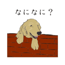 Old man of the Golden Retriever. sticker #10973473