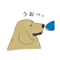 Old man of the Golden Retriever. sticker #10973474