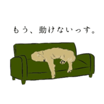 Old man of the Golden Retriever. sticker #10973475