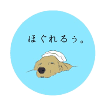 Old man of the Golden Retriever. sticker #10973481