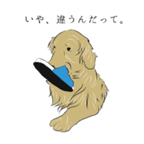 Old man of the Golden Retriever. sticker #10973483