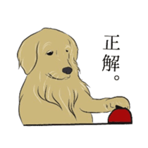 Old man of the Golden Retriever. sticker #10973485