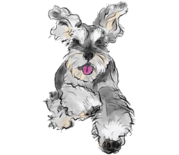 Our Schnauzers - Agility sticker #10973933