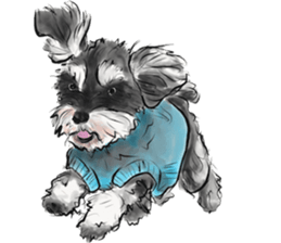 Our Schnauzers - Agility sticker #10973934