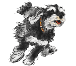 Our Schnauzers - Agility sticker #10973936