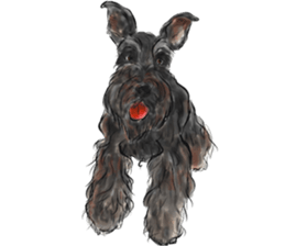 Our Schnauzers - Agility sticker #10973937