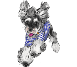 Our Schnauzers - Agility sticker #10973940