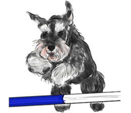 Our Schnauzers - Agility sticker #10973941