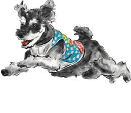 Our Schnauzers - Agility sticker #10973944