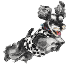 Our Schnauzers - Agility sticker #10973945