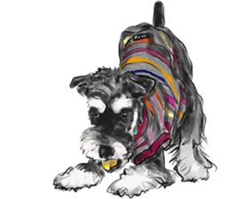 Our Schnauzers - Agility sticker #10973948