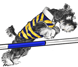 Our Schnauzers - Agility sticker #10973951