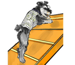 Our Schnauzers - Agility sticker #10973952